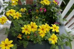 Planter